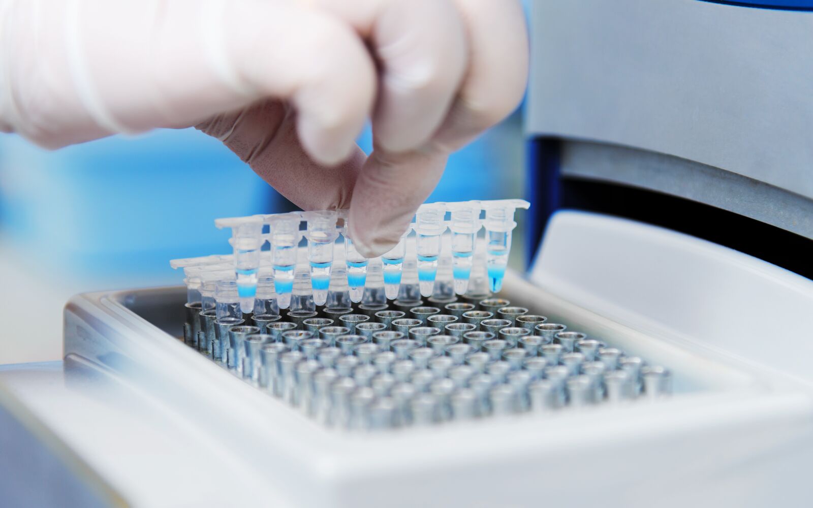 The scientist's hand holds laboratory flasks with blue liquid. Genetic, biological, medical research