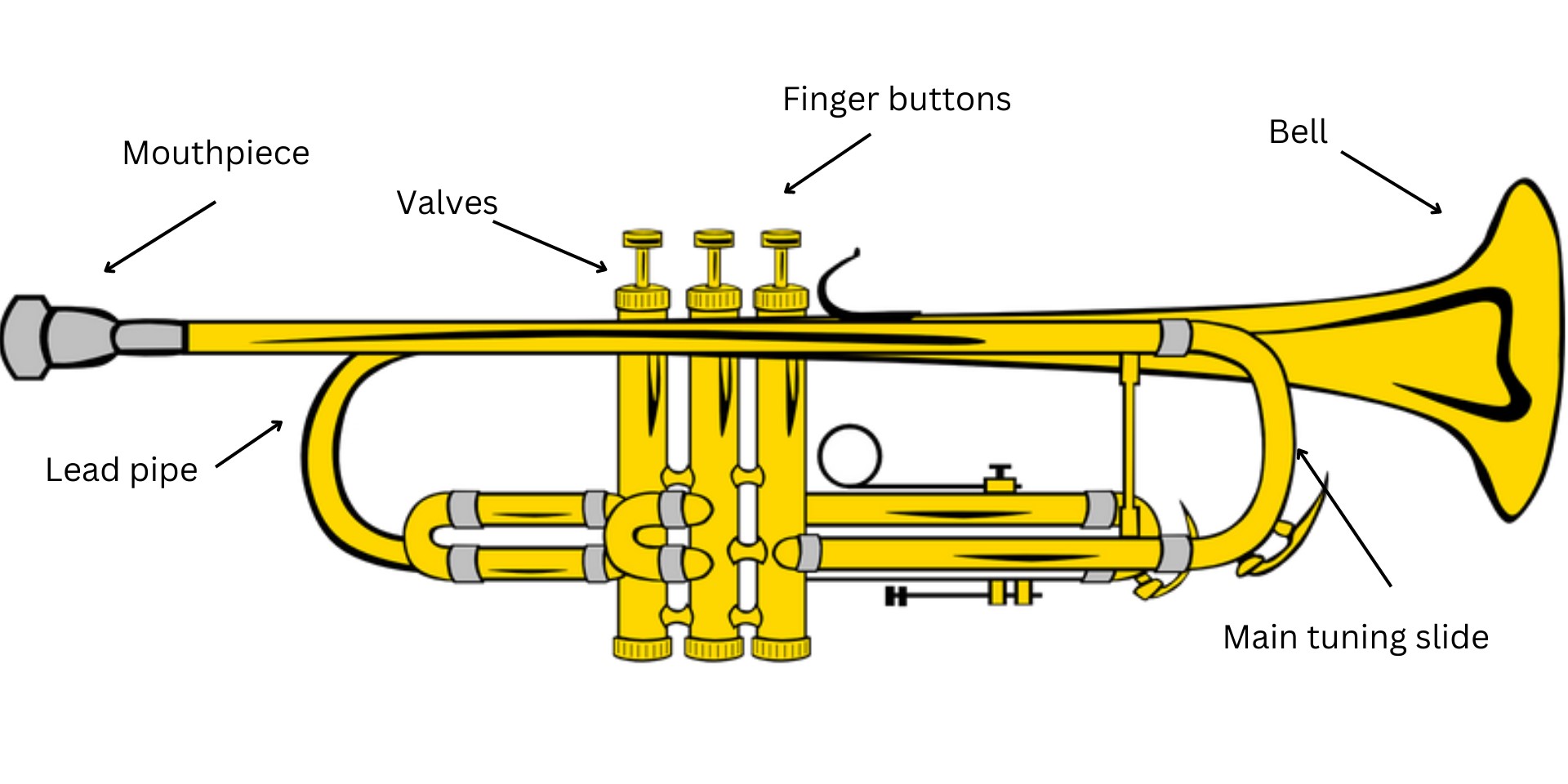 Diagram of a trumpet