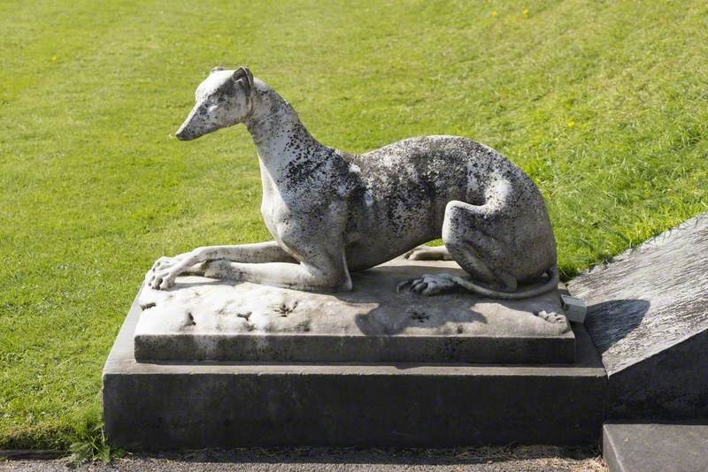 Greyhound