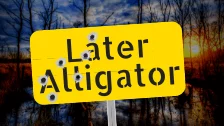 Later Alligator