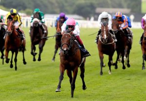 Calyx winning at Royal Ascot