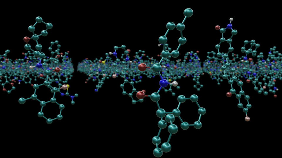 An illustration of proteins.