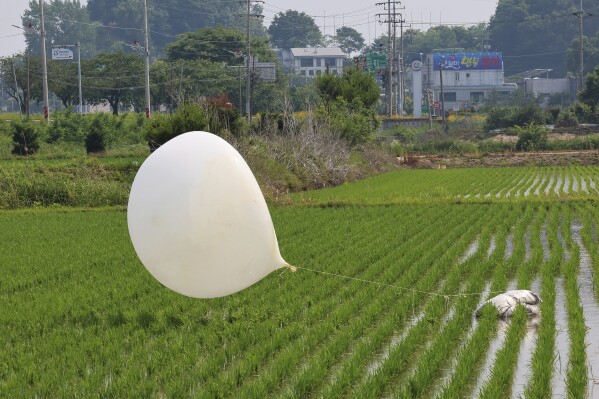 FILE - A balloon presumably sent by North Korea, is seen in a paddy field in Incheon, South Korea, on June 10, 2024. Kim Yo Jong, the powerful sister of North Korean leader Kim Jong Un vowed Sunday, July 14, 2024, to respond to what she called a fresh South Korean civilian leafleting campaign, signaling North Korea would soon resume flying trash-carrying balloons across the border.(Im Sun-suk/Yonhap via AP, File)