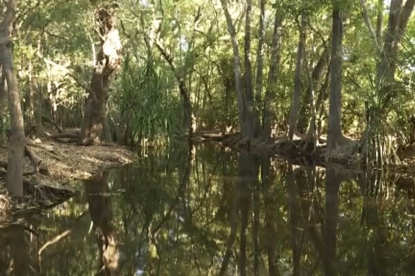 FILE - This file image made from video provided by AuBC shows a part of an area in Palumpa, Australia, Thursday, July 4, 2024, where a girl was reported missing Tuesday after she went swimming. Crocodile numbers in Australia's Northern Territory must be either maintained or reduced and cannot be allowed to outstrip the human population, the territory's leader said after the 12-year-old girl was killed while swimming. (AuBC via AP, File)