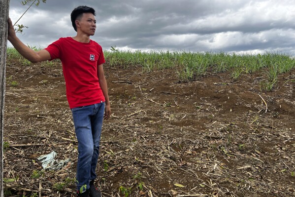 Joemar Flores stands at his farm in Mindanao, Philippines, May 9, 2024. A growing type of insurance, called parametric insurance, is helping farmers like Flores and others in developing countries respond to extreme weather events. (Bill Spindle/Cipher News via AP)