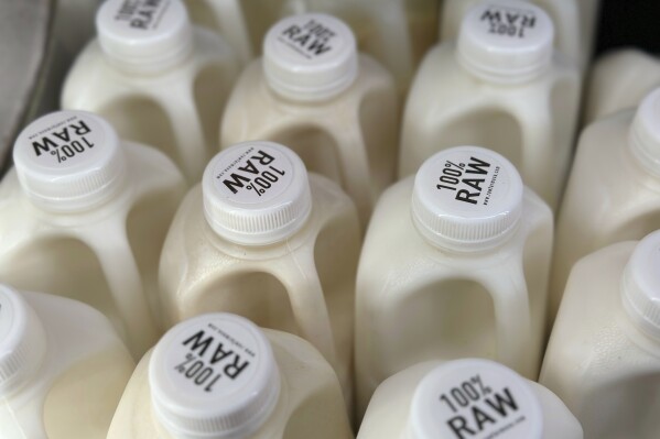 FILE - Bottles of raw milk from from Raw Farm of Fresno, Calif., are displayed for sale at a store in Temecula, Calif., on Wednesday, May 8, 2024. Dozens of salmonella illnesses have been linked to raw milk from the farm, a far wider outbreak than previously known, even as health officials have warned the public to avoid unpasteurized milk due to growing cases of bird flu circulating in U.S. dairy cows. The outbreak ended May 4, California officials said Wednesday, July 10, 2024. (AP Photo/JoNel Aleccia)