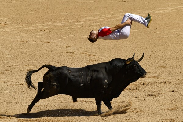 A ''Recortador'' jumps over a bull in the bull ring during the Recortadores festival at the San Fermin fiestas in Pamplona, northern Spain, Sunday, July 7, 2024. (AP Photo/Alvaro Barrientos)