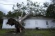 An upended tree lays on the rooftop of the Bethel Church in the aftermath of Hurricane Beryl, in Van Vleck, Texas, July 8, 2024. (AP Photo/Eric Gay)