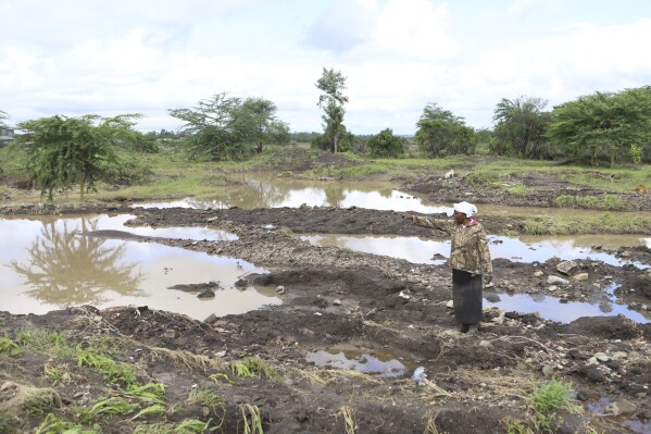 62-year old farmer Martha Waema, in her three-acre farm that was submerged by weeks of rainfall in Machakos, Kenya, Wednesday, May 8, 2024. According to Kenya's interior ministry, the heavy rains affected 400,000 people across the country and killed 289. Crops on approximately 168,092 acres of land have been destroyed, posing a threat to food security. This represents 0.24 percent of Kenya's based on World Bank Data that shows 48% of Kenya's land is agricultural. (AP Photo/Andrew Kasuku)
