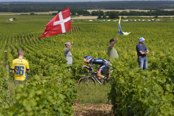 Slovenia's Primoz Roglic rides through the vineyards during the seventh stage of the Tour de France cycling race, an individual time-trial over 25.3 kilometers (15.7 miles) with start Nuits-Saint-Georges and finish in Gevrey-Chambertin, France, Friday, July 5, 2024. (AP Photo/Jerome Delay)