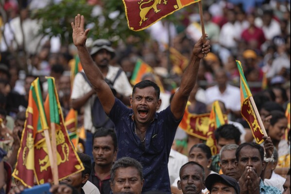 A supporter of Sri Lanka's president Ranil Wickremesinghe cheers during a public rally in Colombo, Sri Lanka, Wednesday, Aug. 28, 2024. (AP Photo/Eranga Jayawardena, File)