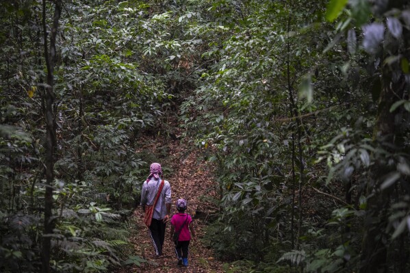 Petros Pyrtuh takes his 6-year-old son, Bari Kupar, to a sacred forest near his village in the West Jaintia Hills region of Meghalaya, a state in northeastern India, Wednesday, Sept. 6, 2023. He is Christian, but said the forest is an important part of his life. He said he is now teaching his young son to respect and value the forest. “In our generation, we don’t believe it is the dwelling place of the gods,” he said. “But we continue with the tradition of protecting the forest because our ancestors have told us not to defile the forest.” (AP Photo/Anupam Nath)