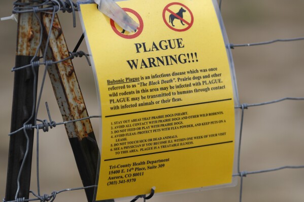 FILE - In this Aug. 10, 2019 file photo, a sign warning of bubonic plague is displayed at a parking lot near the Rocky Mountain Arsenal Wildlife Refuge in Commerce City, Colo. The bacteria which causes the disease is transmitted through the bites of infected fleas, which spread it between rodents, pets and humans. (AP Photo/David Zalubowski)