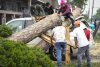 Tree service crews climb atop an SUV to cut apart a tree that fell on it at an apartment complex in the 4600 block of Sherwood in the aftermath of a severe storm on Friday, May 17, 2024, in Houston. Fast-moving thunderstorms pummeled southeastern Texas for the second time this month, killing at least four people, blowing out windows in high-rise buildings, downing trees and knocking out power to more than 900,000 homes and businesses in the Houston area. (Brett Coomer/Houston Chronicle via AP)