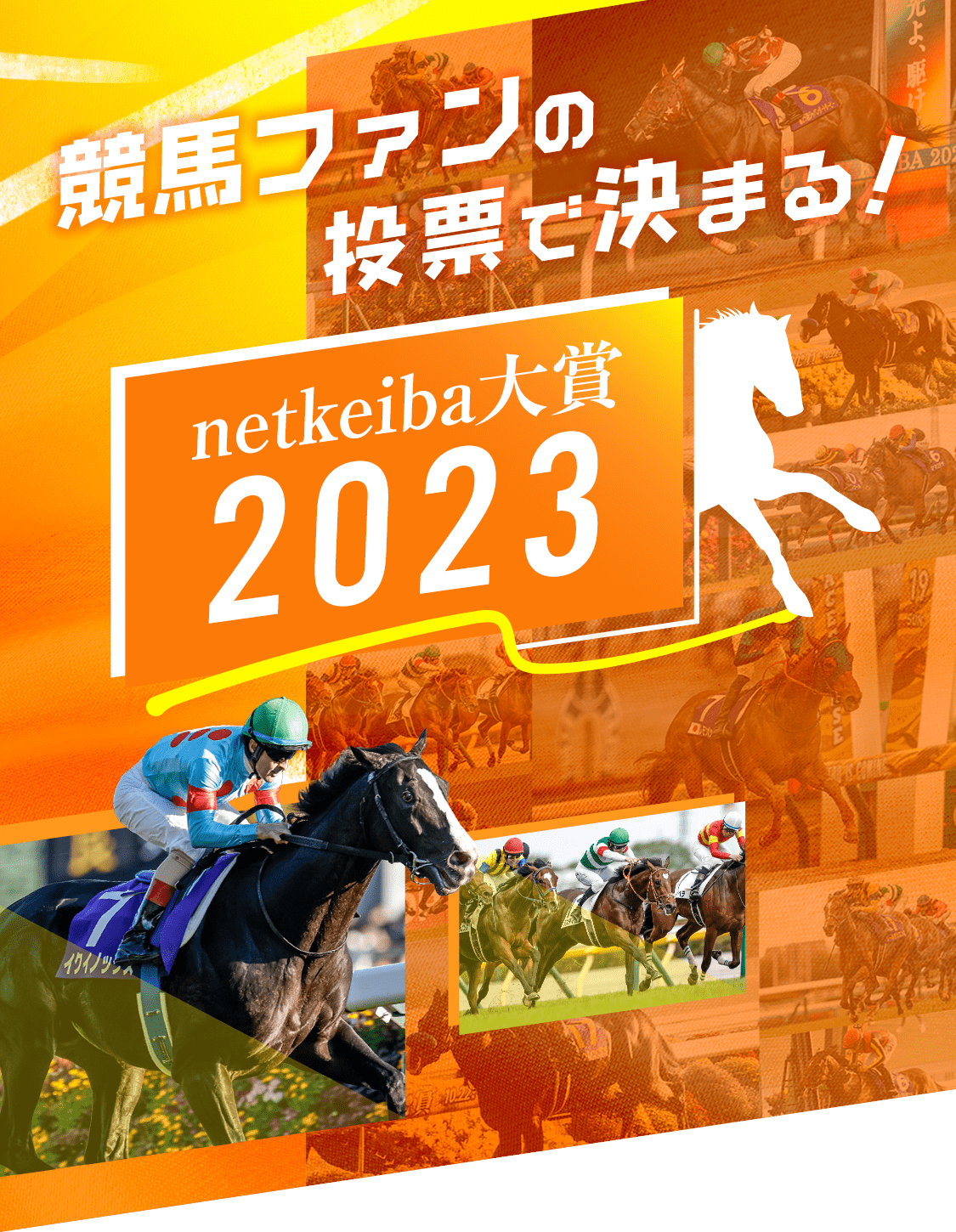 ϥեɼǷޤ롪netkeiba2023