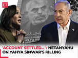 Israel PM confirms Sinwar's elimination; US backs action:Image