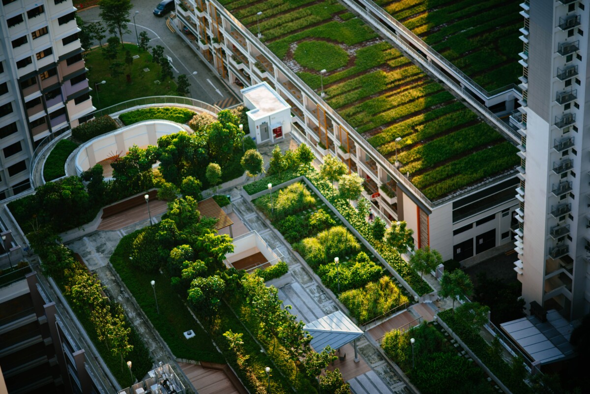 Vertical forest on a building in Milan