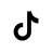 TikTok icon