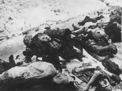 Victims of German SS and Hungarian Arrow Cross terror in the ghetto, found in the courtyard of the Pestor synagogue on Dohany Street. [LCID: 66006]