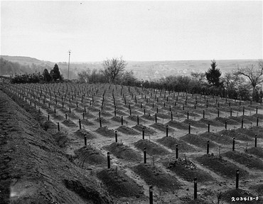 Cemetery at Hadamar where victims of euthanasia killing at Hadamar were buried.