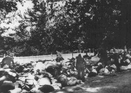 Soldiers from unidentified units of Einsatzgruppe (mobile killing squad) C look through the possessions of Jews massacred at Babi ... [LCID: 5057]