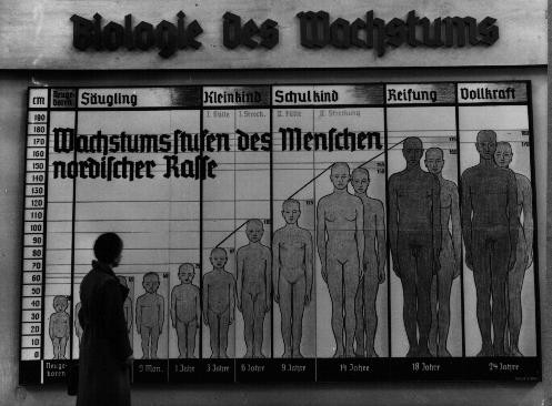 The Nazis used public displays to spread their ideas of race.