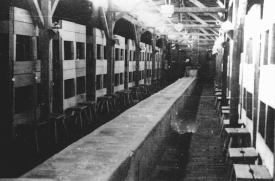  View of a barrack in the Auschwitz-Birkenau concentration camp. [LCID: 50794]