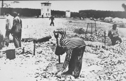 Les SS mirent en place le camp de concentration de Sachsenhausen pour en faire le principal dans la région de Berlin. Situé près d'Oranienburg, au nord de la ville, le camp a ouvert le 12 juillet 1936.