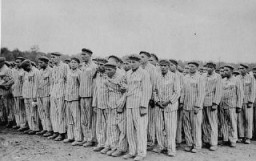 Détenus lors de l’appel au camp de concentration de Buchenwald. Leurs uniformes portent des badges triangulaires de classification et des numéros d’identification. Buchenwald, Allemagne, 1938-1941.