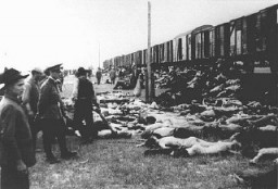 Während der Deportation von Überlebenden eines Pogroms in Iasi nach Calarasi oder Podul Iloaei. Rumänen halten einen Zug an, um die Leichen der Menschen abzuwerfen, die unterwegs gestorben waren. Rumänien, Juli 1941.