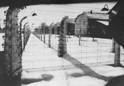 Auschwitz