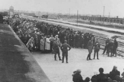 Ankunft ungarischer Juden in Auschwitz