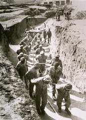 Forced labor in the quarry of the Mauthausen concentration camp. [LCID: 12352]