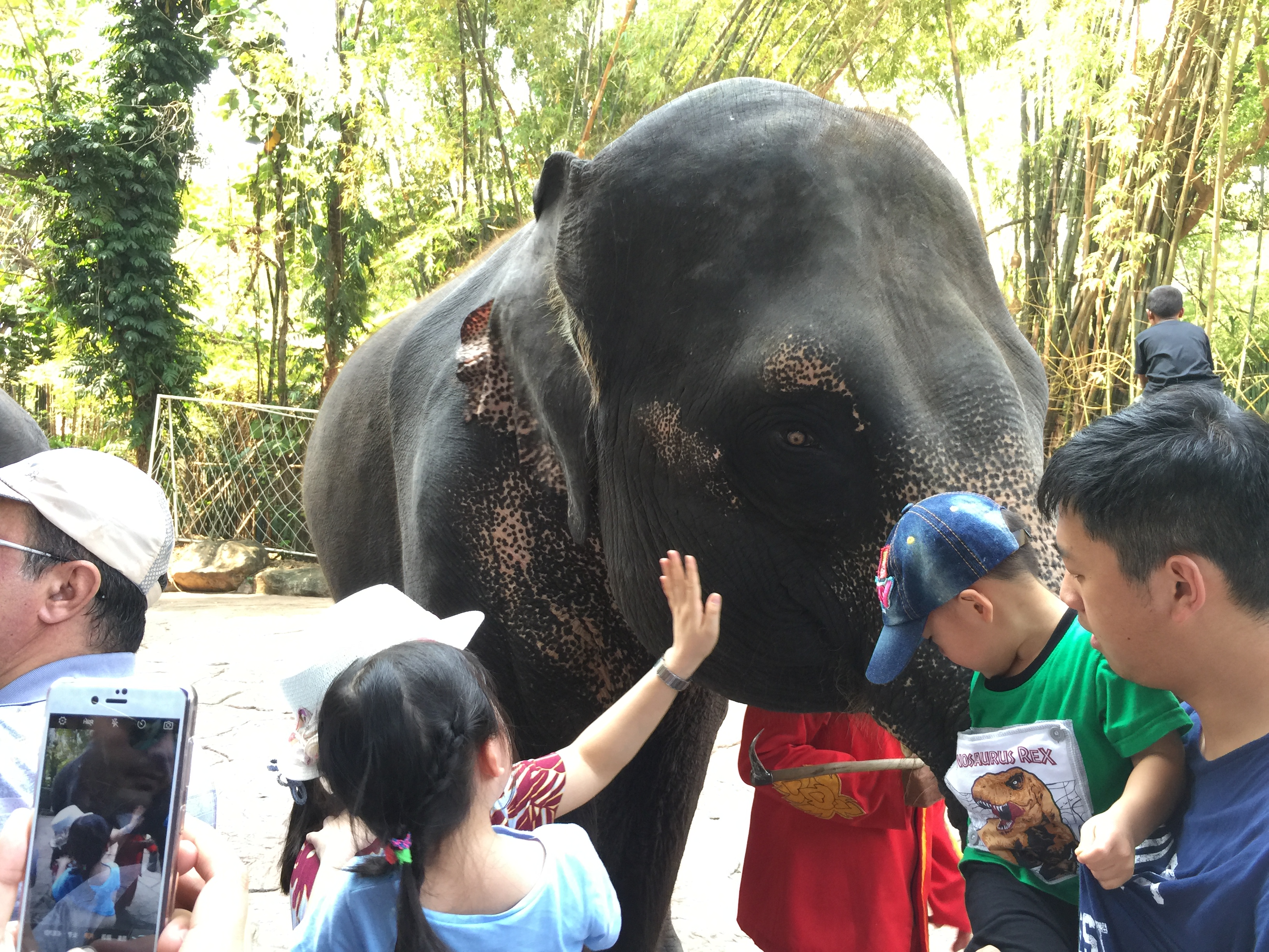 Marine Park,マリンパーク,サファリワールド,キリン,ゾウ,ホワイトタイガー,タイ,バンコク,動物園,日帰り,旅行,ツアー,家族連れ,子供連れ,観光,スポット,おすすめ,楽しい