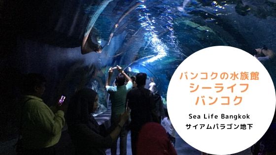 タイ,バンコク,水族館,サイアムオーシャンワールド,シーライフバンコク,サイアム駅,サイアムパラゴン,レジャー,観光,Sea Life Bangkok,ซี ไลฟ์ บางกอก โอเชียนเวิลด์