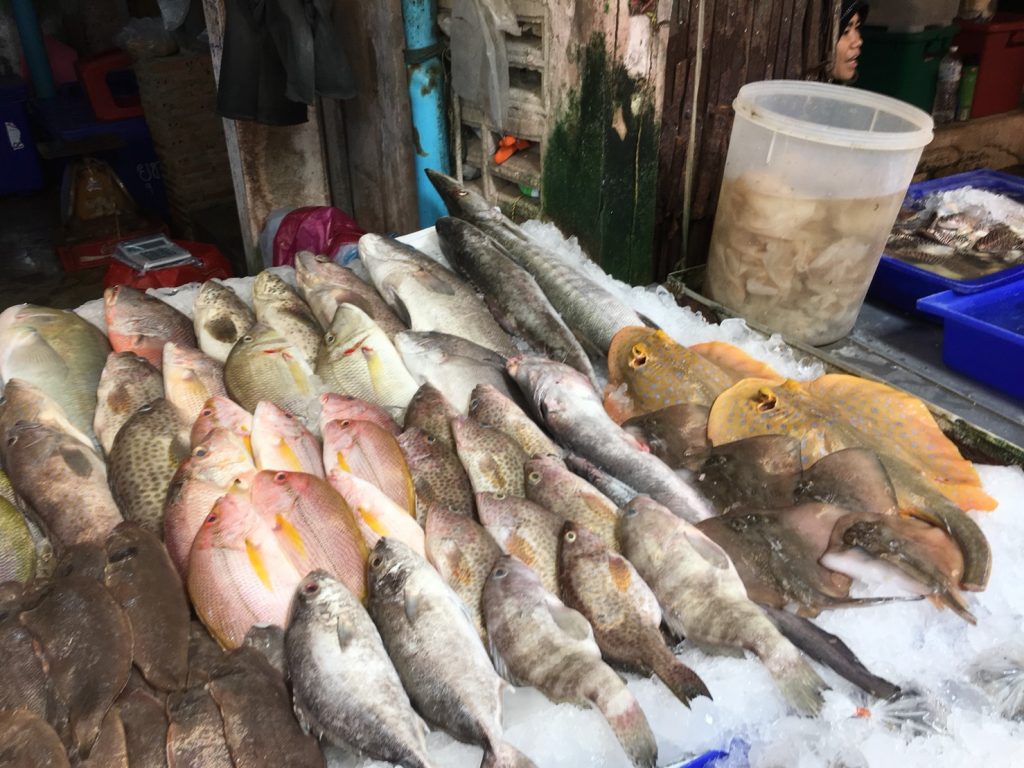 Naklua Fish Market,ランプ―マーケット,ナクルアマーケット,ローカル市場,タイ,パタヤ,魚,魚介類,マーケット,