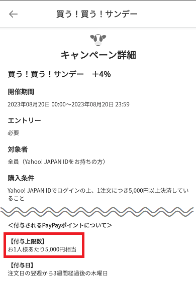 買う！買う！サンデーのキャンペーン詳細