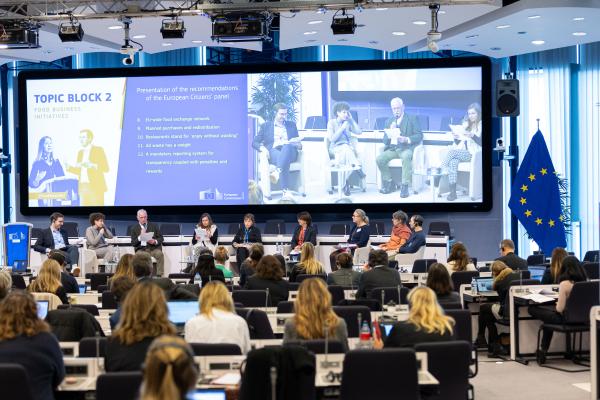 People taking part in the European Citizens' Panel 