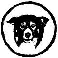 fundog image