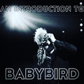 babybird image