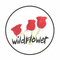 WILDFLOWER image