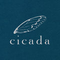 Cicada image