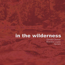 In The Wilderness cover art