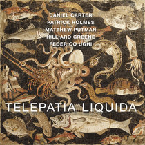 Telepatia Liquida cover art