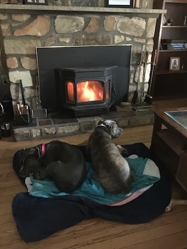 Two large breed dogs laying in front of a lit wood burning stove