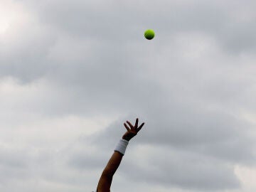 Pelota de tenis