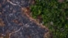 In this Nov. 23, 2019 photo, a burned area of the Amazon rainforest is seen in Prainha, Para state, Brazil.