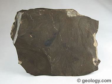 Oil shale