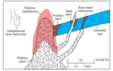 skarn in carbonates