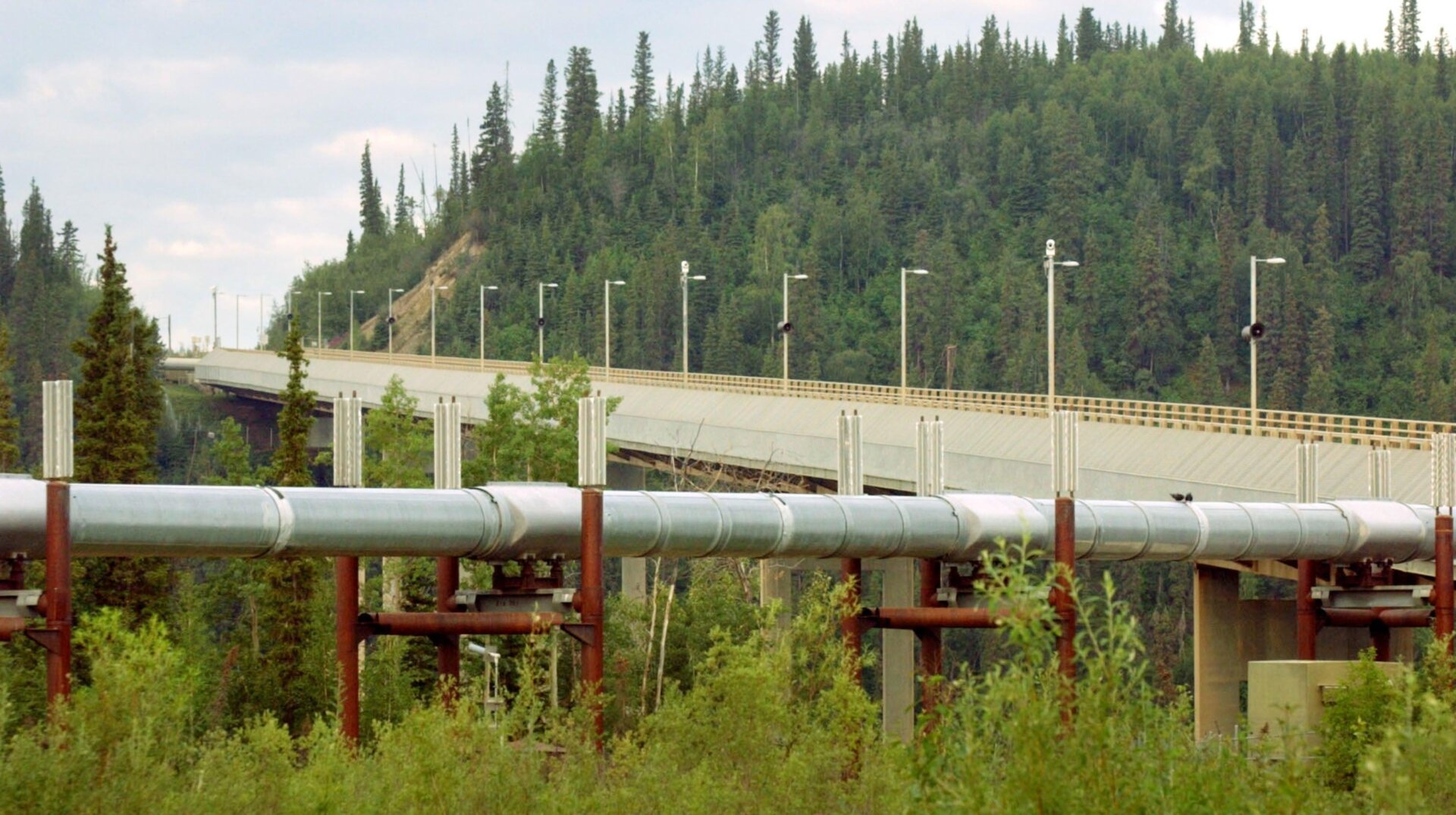 The Trans-Alaska Pipeline.